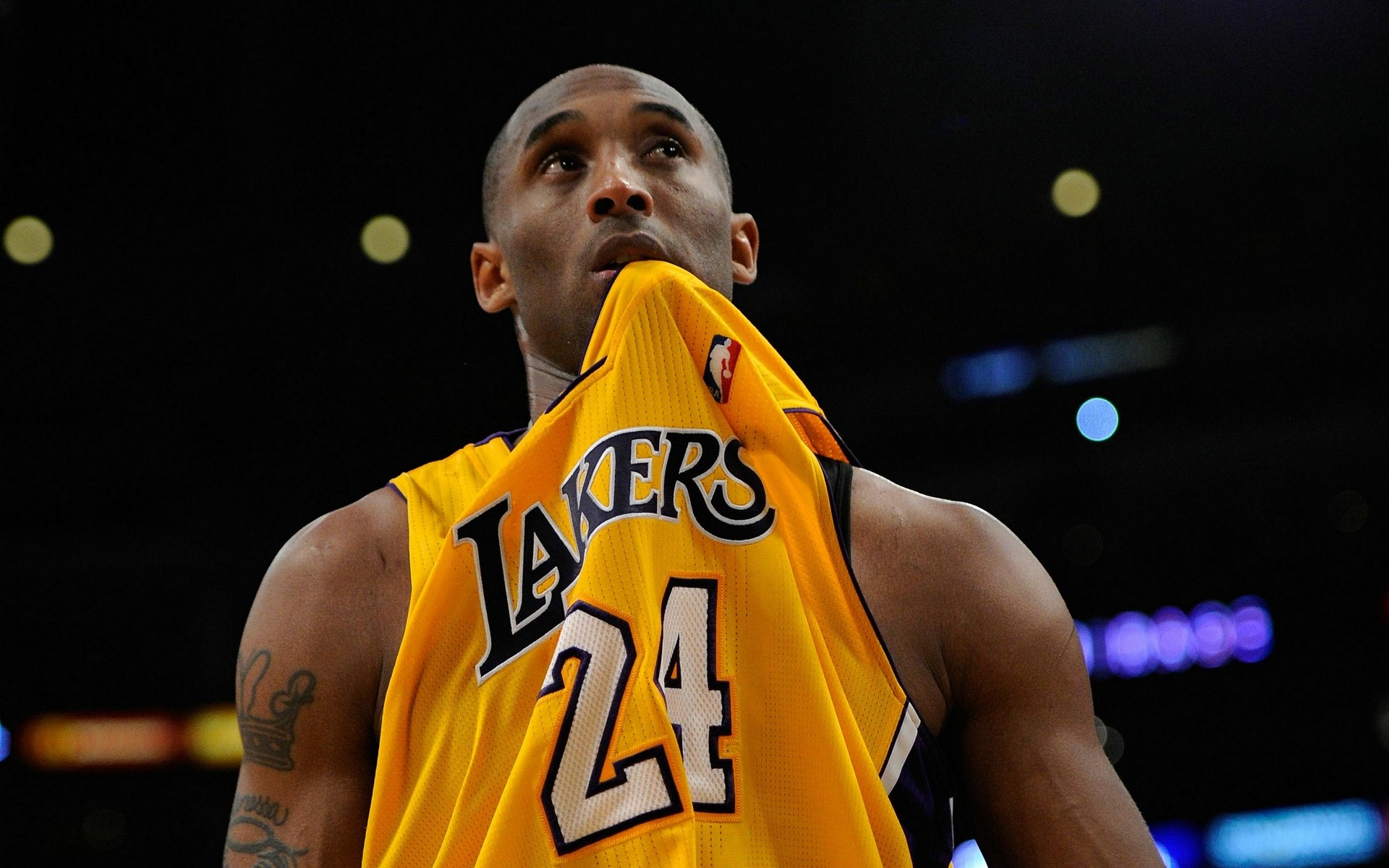 供实际支持 供实际支持